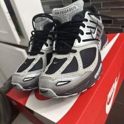 Nike Air Pegasus 2005