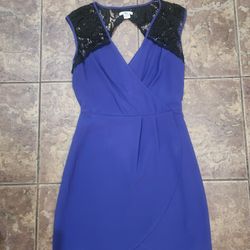 Bar III Brand Lace and Violet Mini Dress Size Small