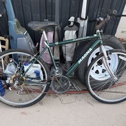 Magna Glacier 12 Speed Parts / Project