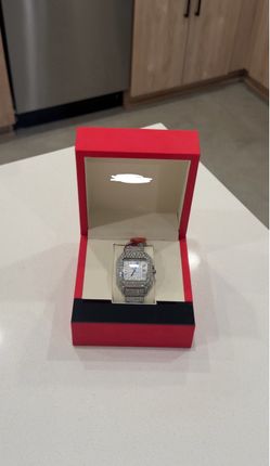 Iced out watch