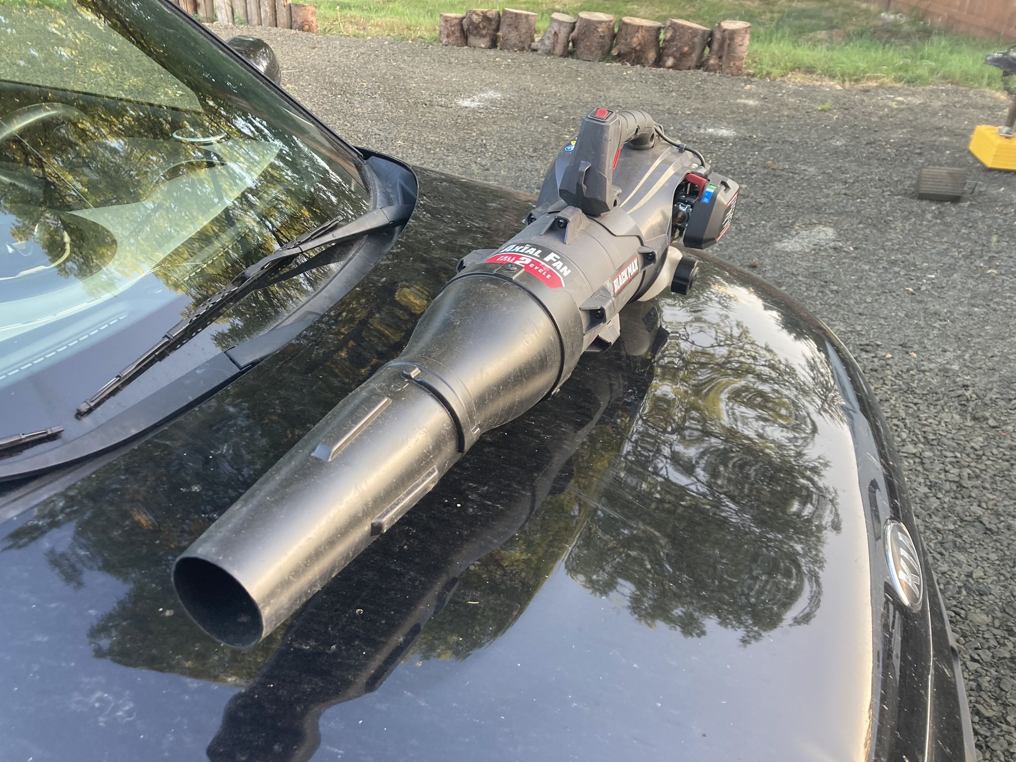 Black Max Leaf Blower