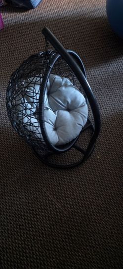Cat swing bed
