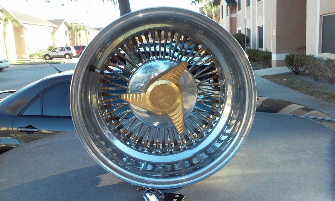 15"8 roaster rims with gold nipples