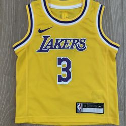 Nike Los Angeles Lakers Anthony Davis Icon Little Kids Jersey