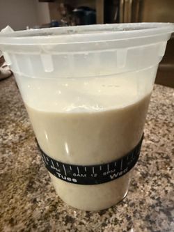 Sourdough starter