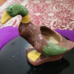 Ceramic Duckie Planter. 