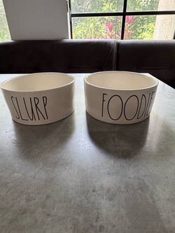 Rae Dunn Pet Bowls Set of 2