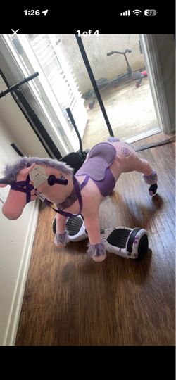 Pony