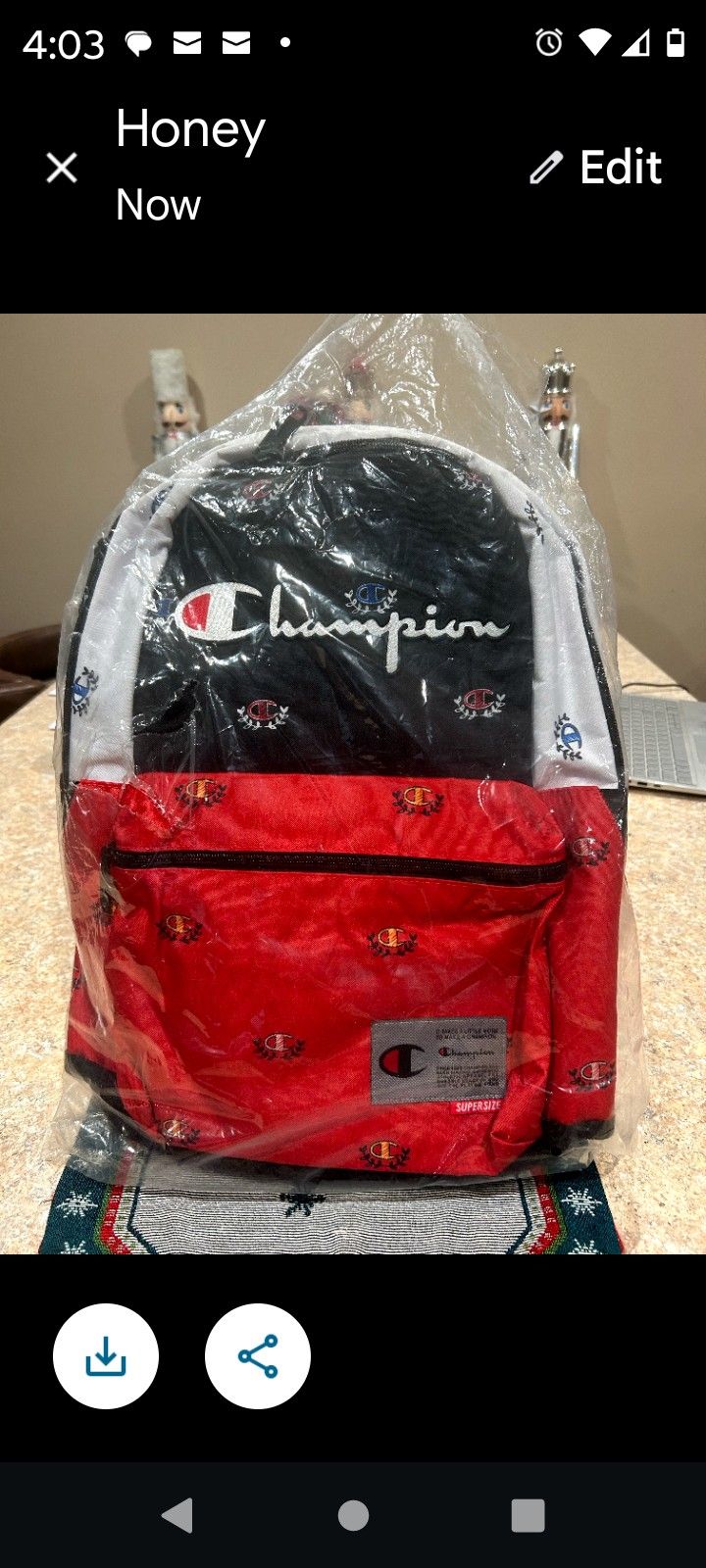 Champion Back Pack With Computer Pocket 