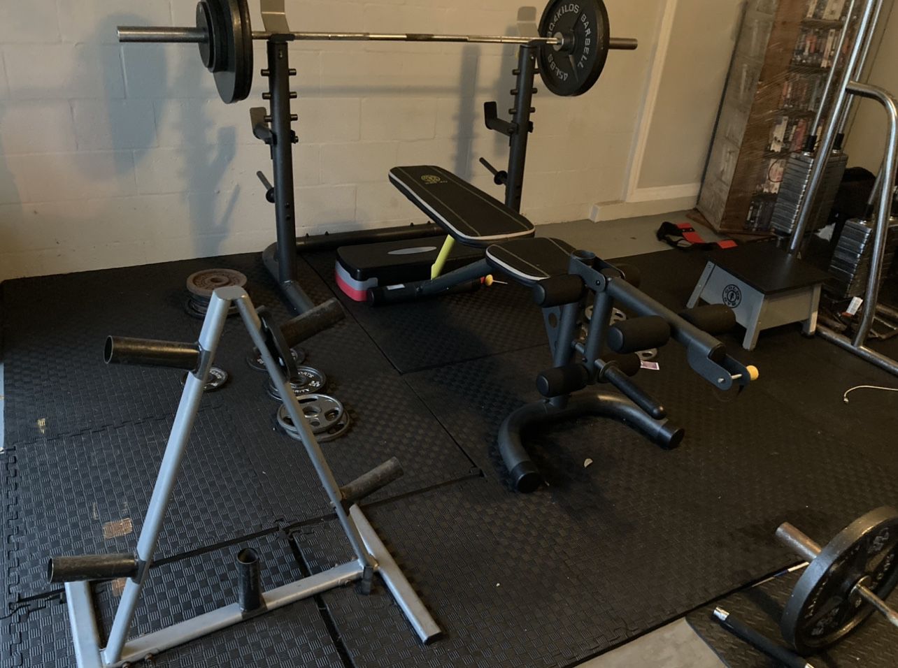 Weight Bench, Dumbbells, Olympic Bar, Weight Holder, Weights