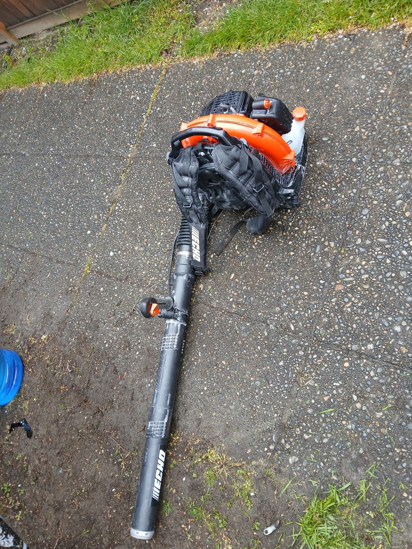 Echo leaf blower