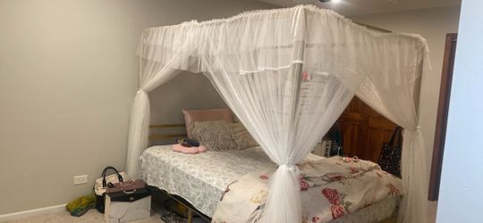 Gold Metal Canopy Platform Bed with Mattress