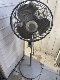 Barely used indoor fan stand
