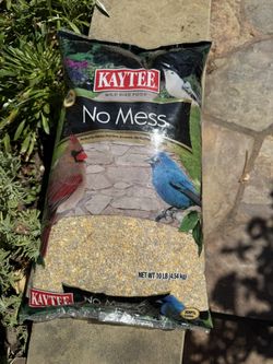 Kaylee While Bird Food