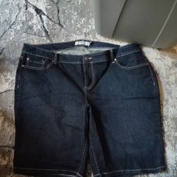 NWT Torrid Bermuda Jean shorts size 24