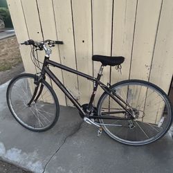Specialized Globe Hybrid Bike