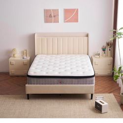 Platform Bed Frame with Charging Station and Storage Shelf,Velvet Upholstered Bed Frame with Tufted Headboard,No Box Spring Needed,Easy Assembly (Off-