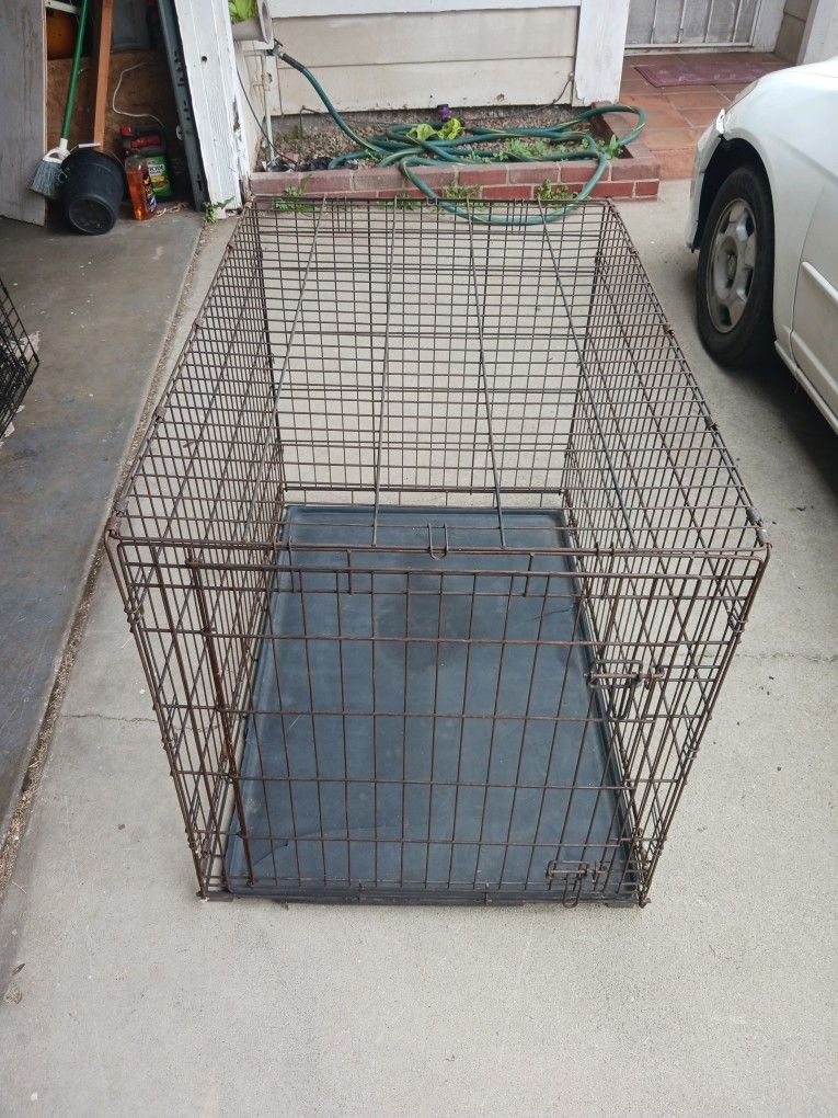 XL LARGE DOG 🐕🦺 Crate