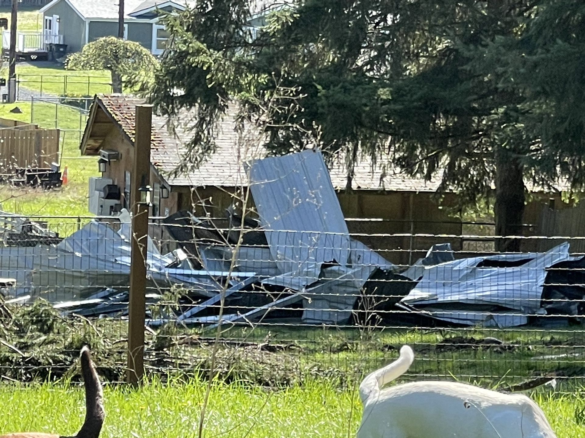 Steel Scrap Free