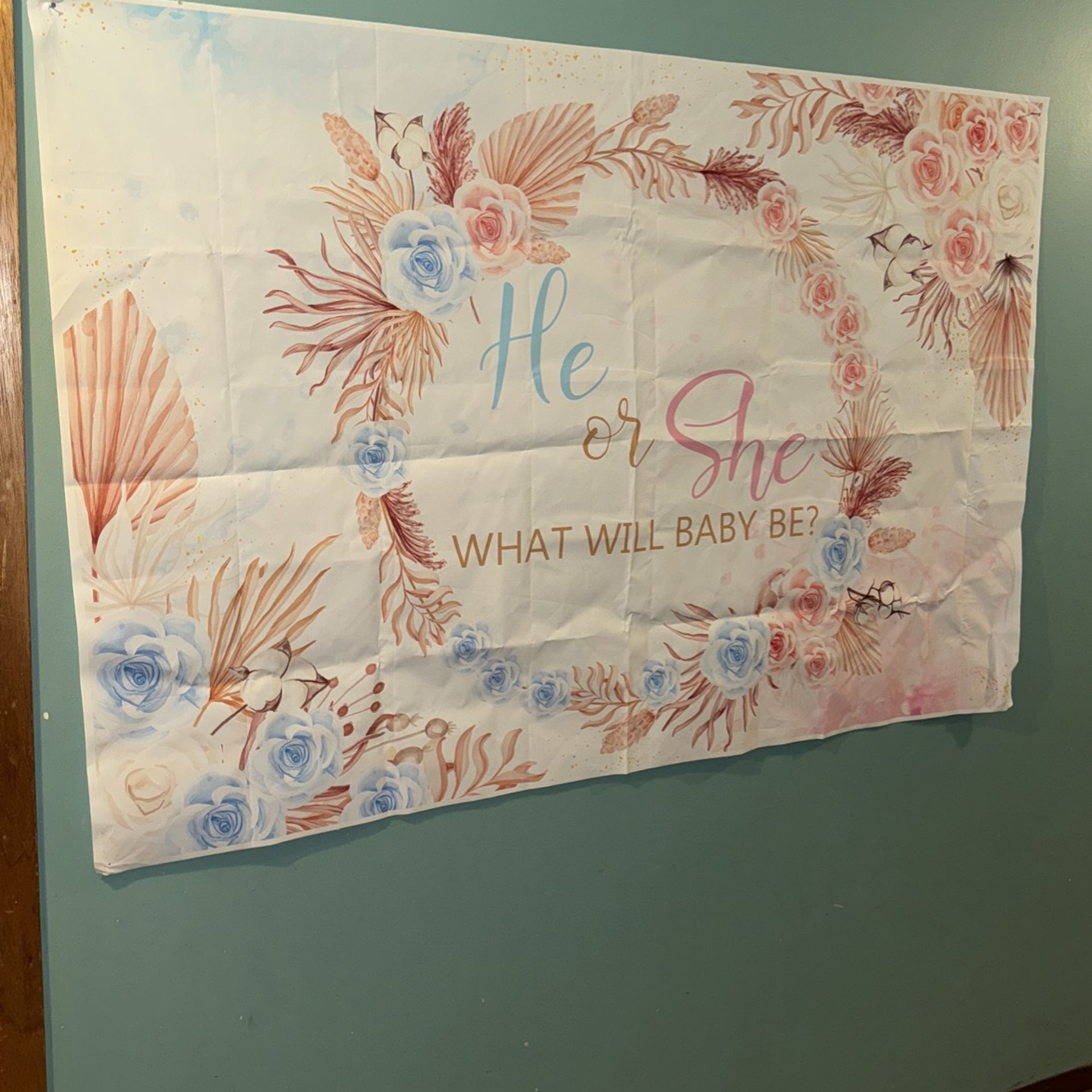 Gender Reveal Backdrop He or She What Will Baby Be Gender Reveal Boho Gender Reveal Photography Background Watercolor Pink Blue Cloud Floral.!