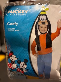 Goofy costume