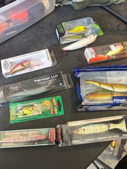 Bass fishing lures