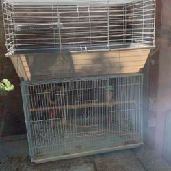 Cages. For Kikirikis Each One Has Different Price 