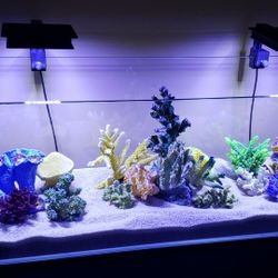 Reef Decorations (Top Quality Looks Like Real Reef)