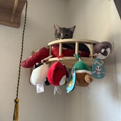 Cat Plushie Rehoming 