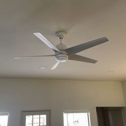 54in Hampton Bay indoor/outdoor ceiling fan