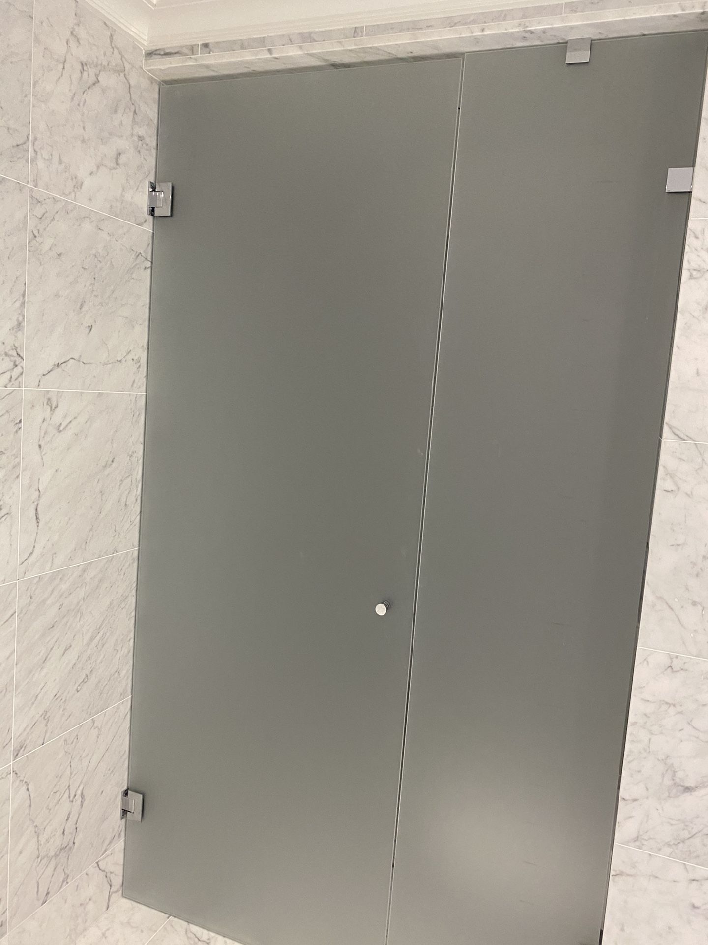 Shower door