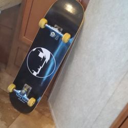 Birdhouse Skateboard 