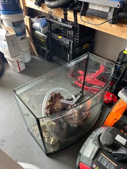 Bow Front Glass Aquarium Fish Tank