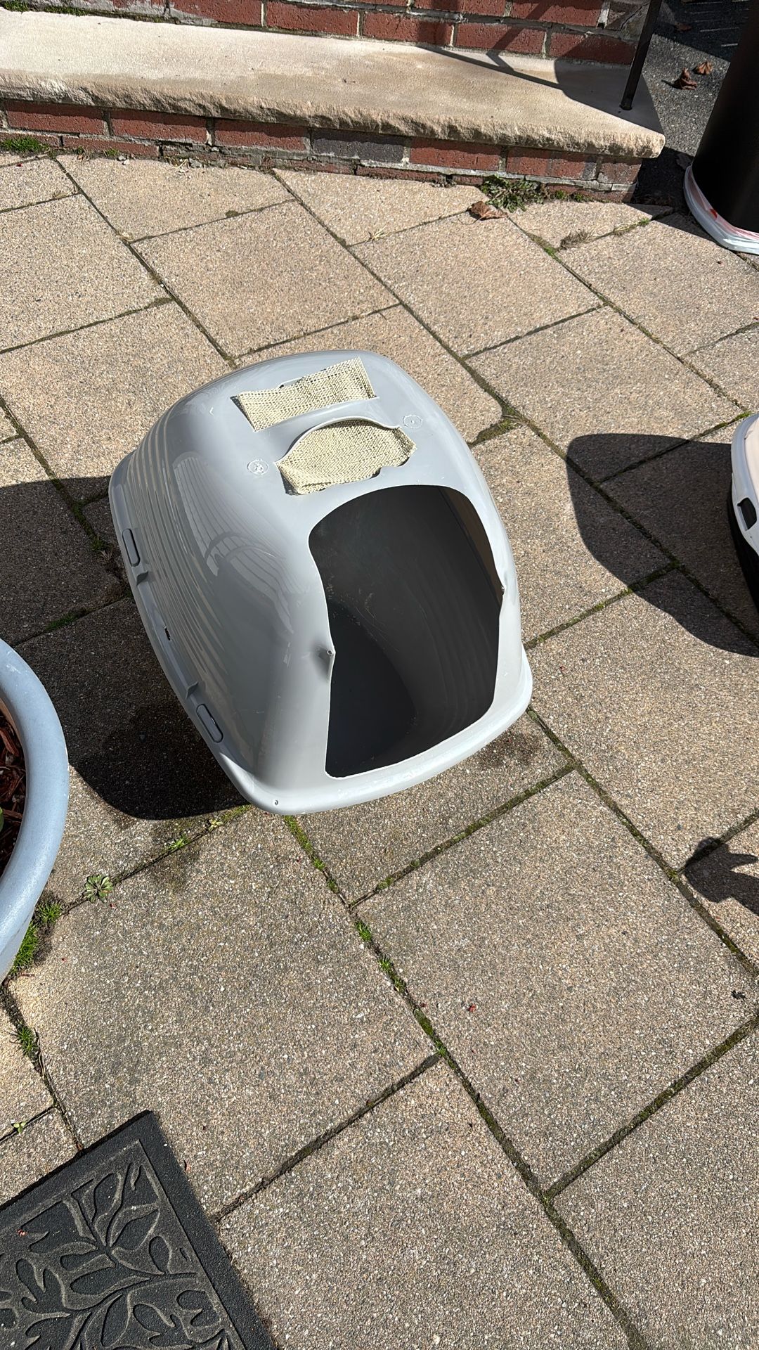 Cat Box