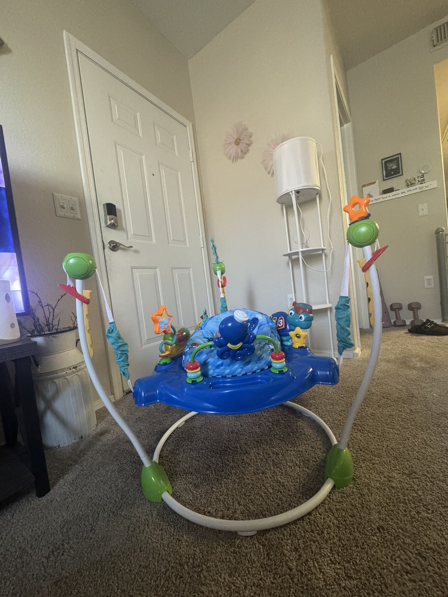 Einstein Baby Jumper