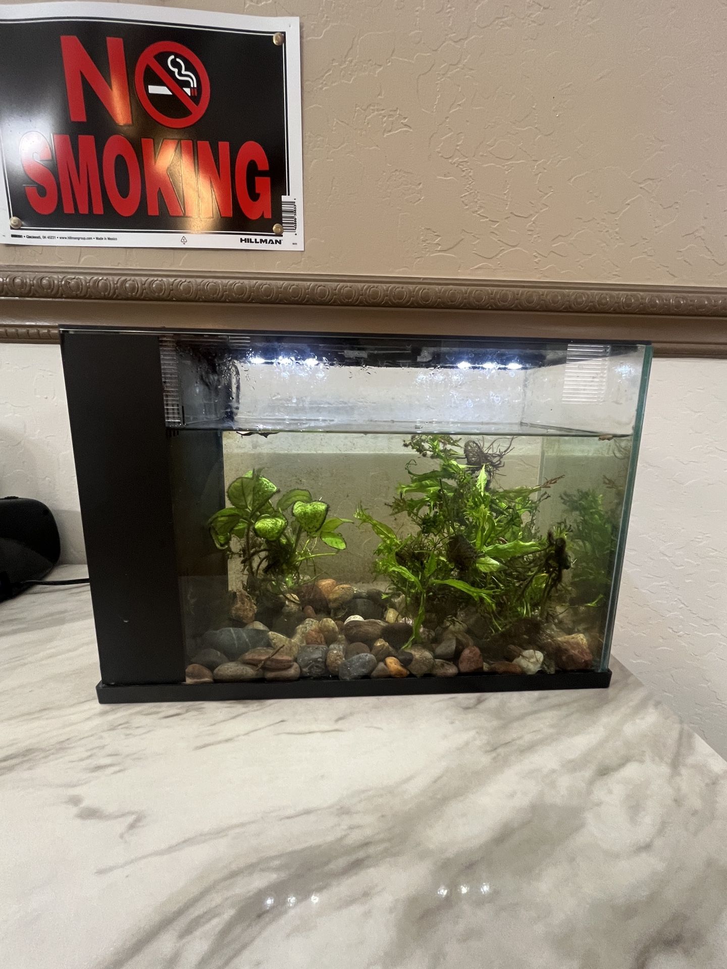3 Gallon Fish Tank