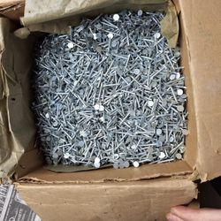 Most Of 50 Lb Box Of 1 1/4 Inch Shingle Nails