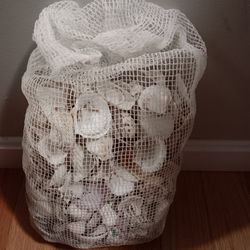 Bag Of Sea Shells