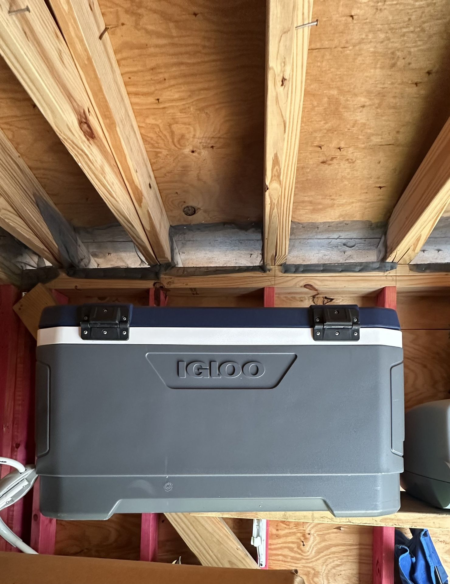 Igloo Cooler