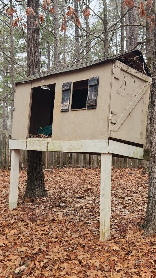 Tree house
