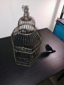 Cage and Crow