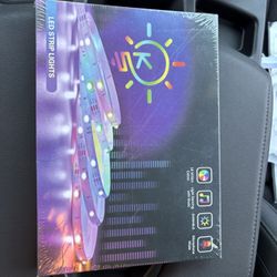 100 Ft LED Lights 