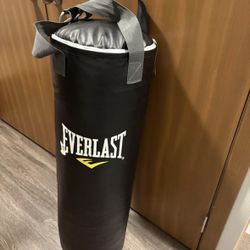 Everlast Hanging Punching Bag