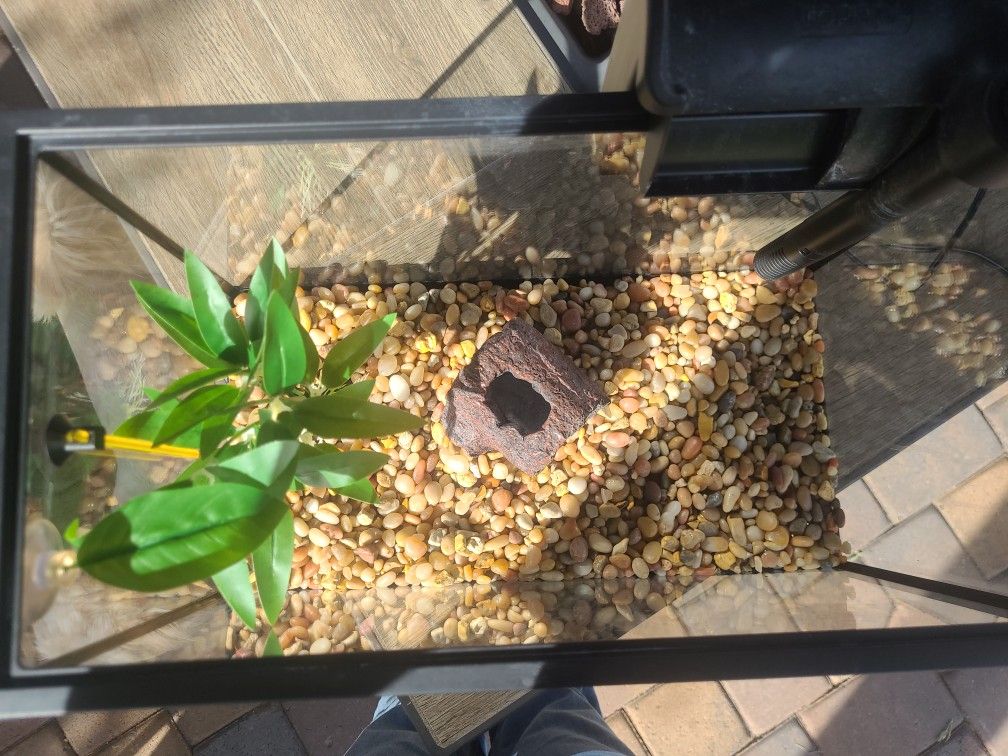 5 Gallon Fish Tank