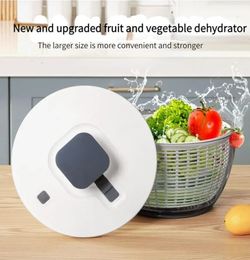 Vegetable Dryer 