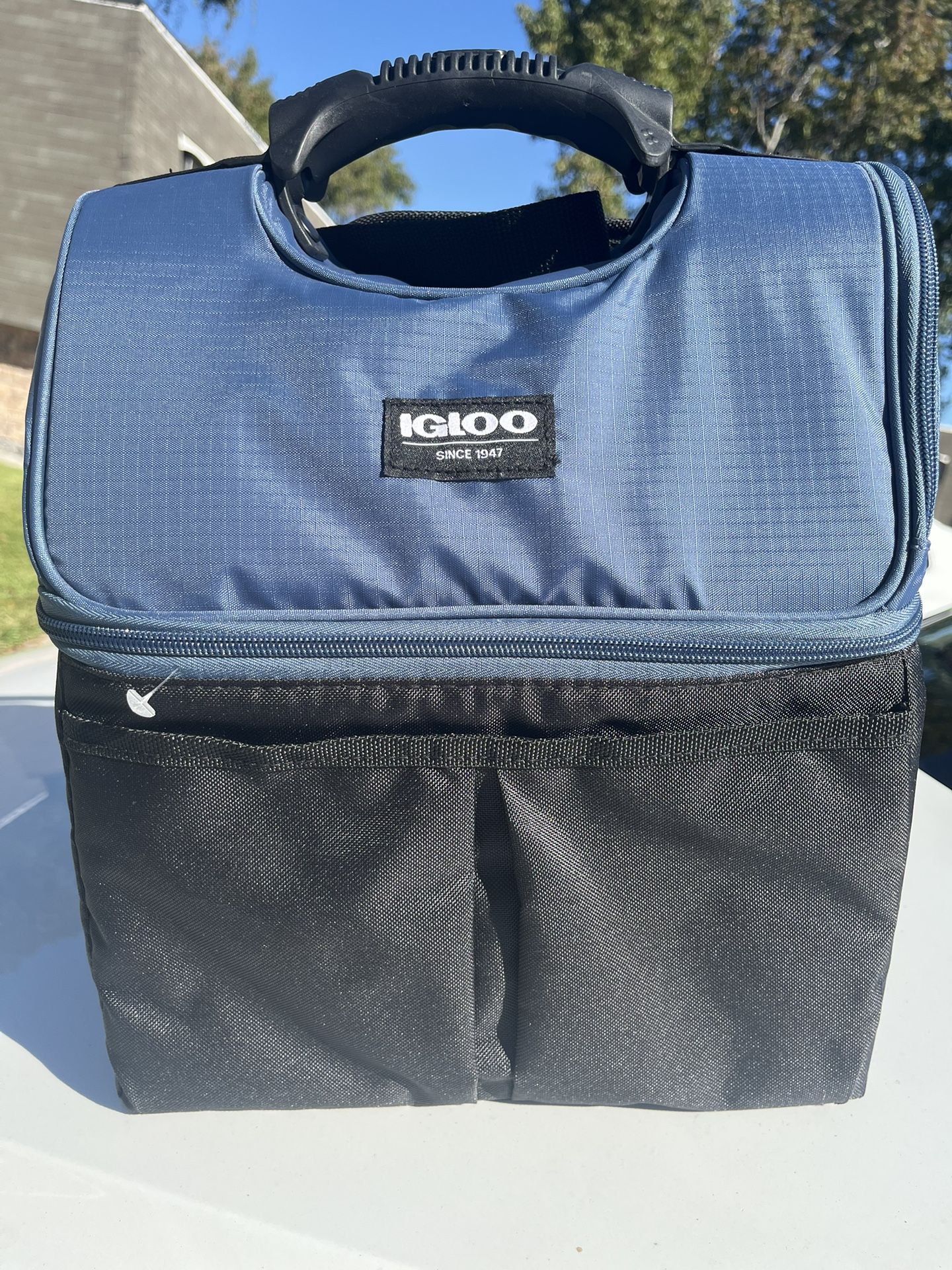 Igloo Insulated Cooler Bag