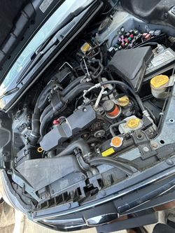Subaru Motor