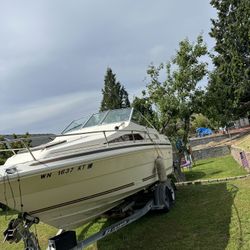 85 Sea Ray Boat 21ft