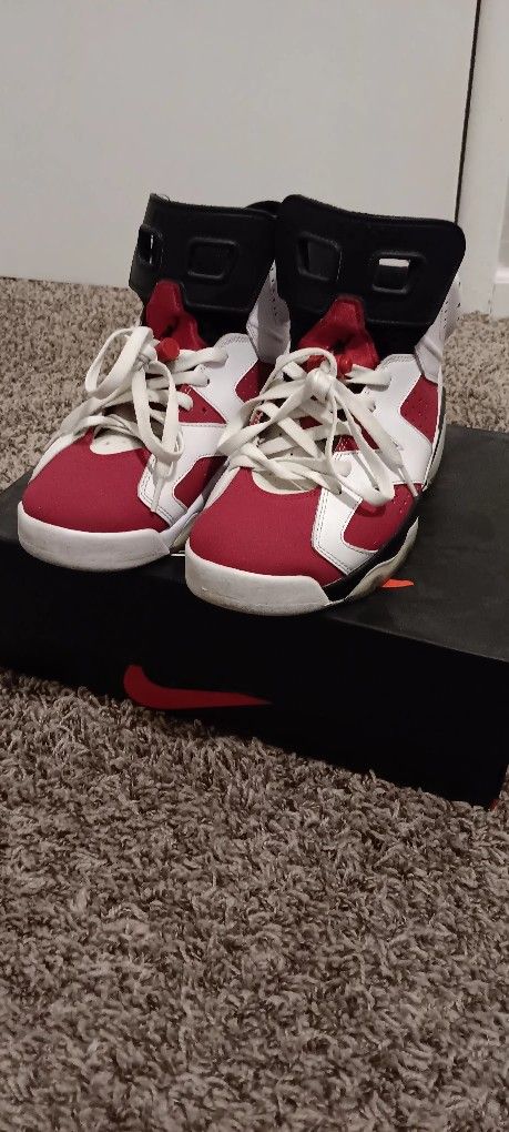 Air Jordan Carmine Retro 6