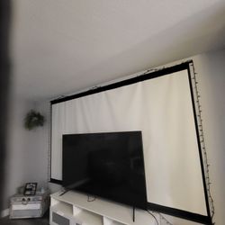 135 Inch Projector Screen